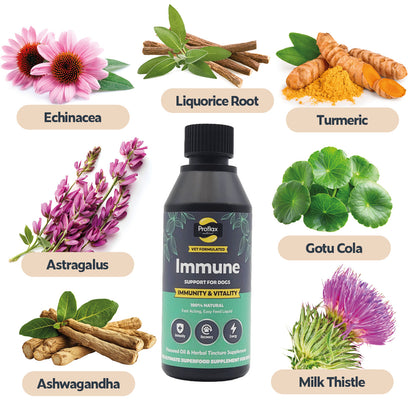 Immune & Energy Support for Dogs - Proflax