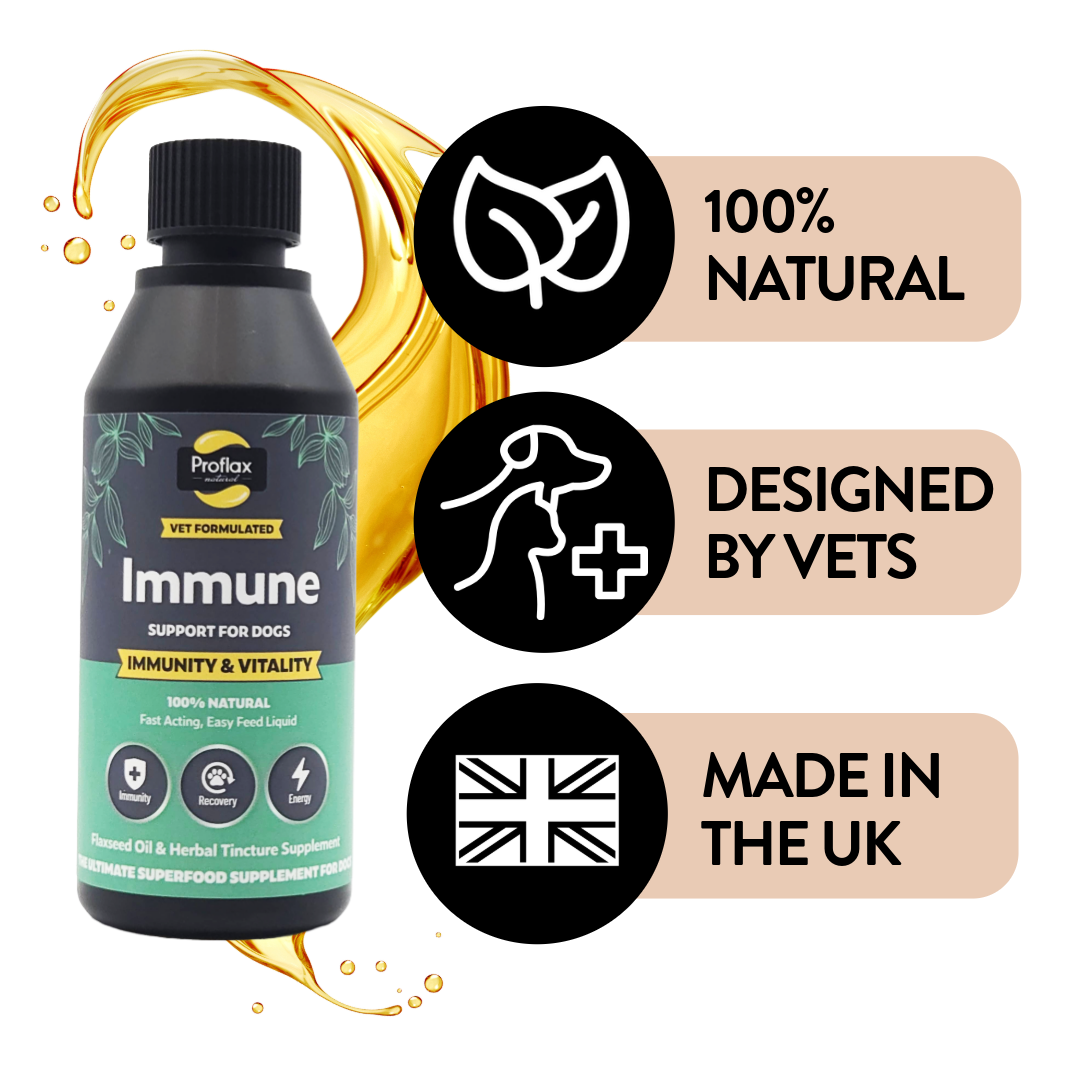 Immune & Energy Support for Dogs - Proflax