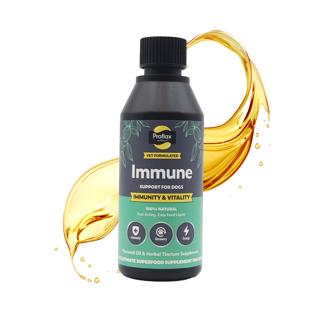 Immune & Energy Support for Dogs - Proflax
