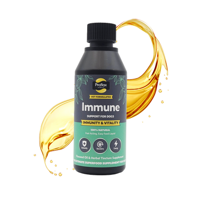 Immune & Energy Support for Dogs - Proflax
