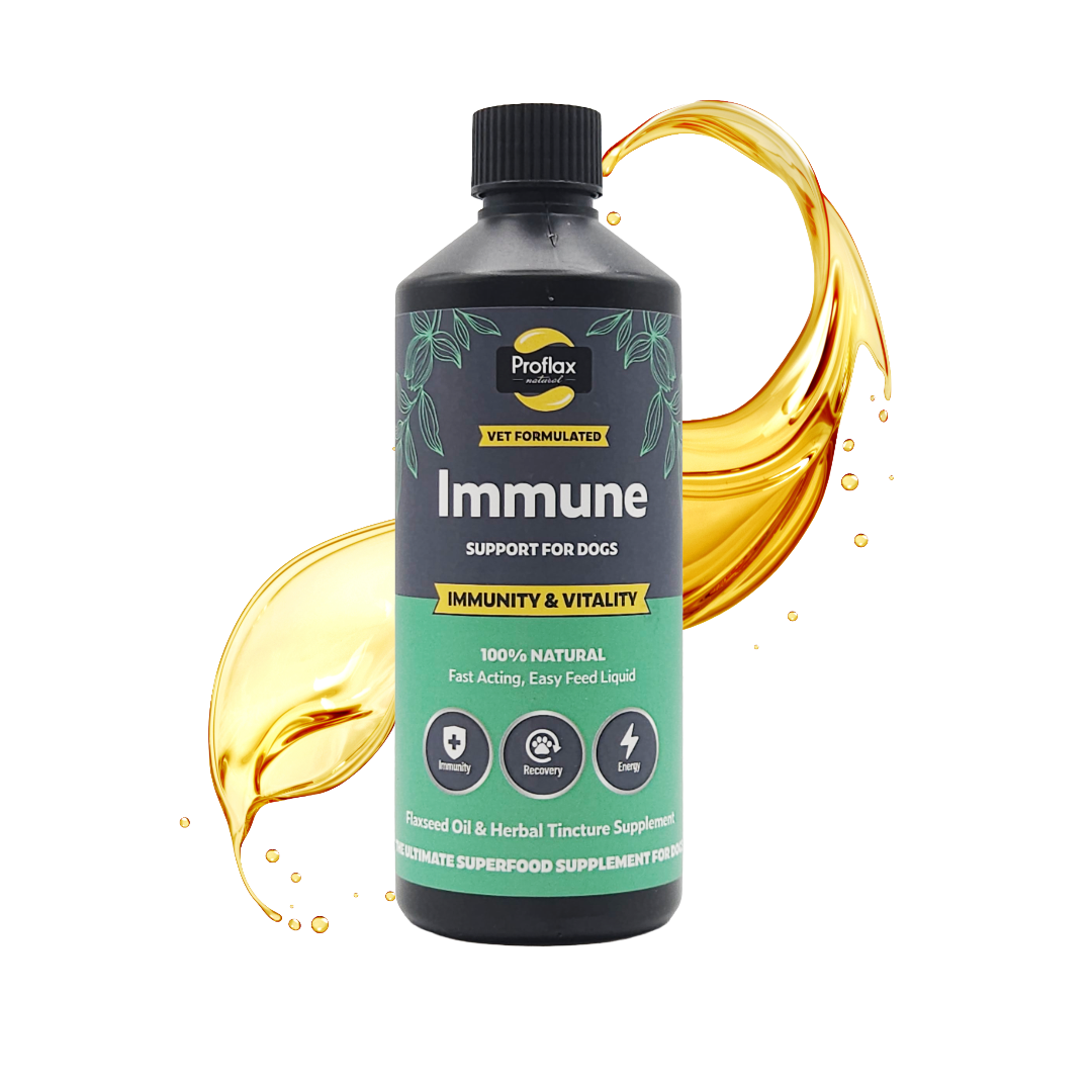 Immune & Energy Support for Dogs - Proflax
