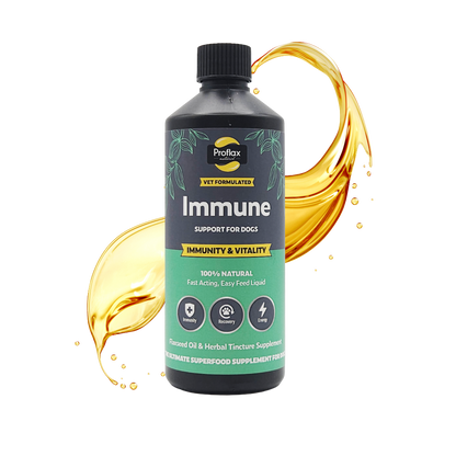 Immune & Energy Support for Dogs - Proflax