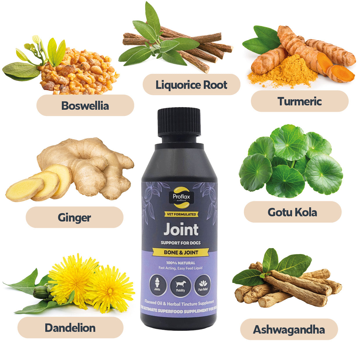Bone, Joint & Mobility Support for Dogs - Proflax