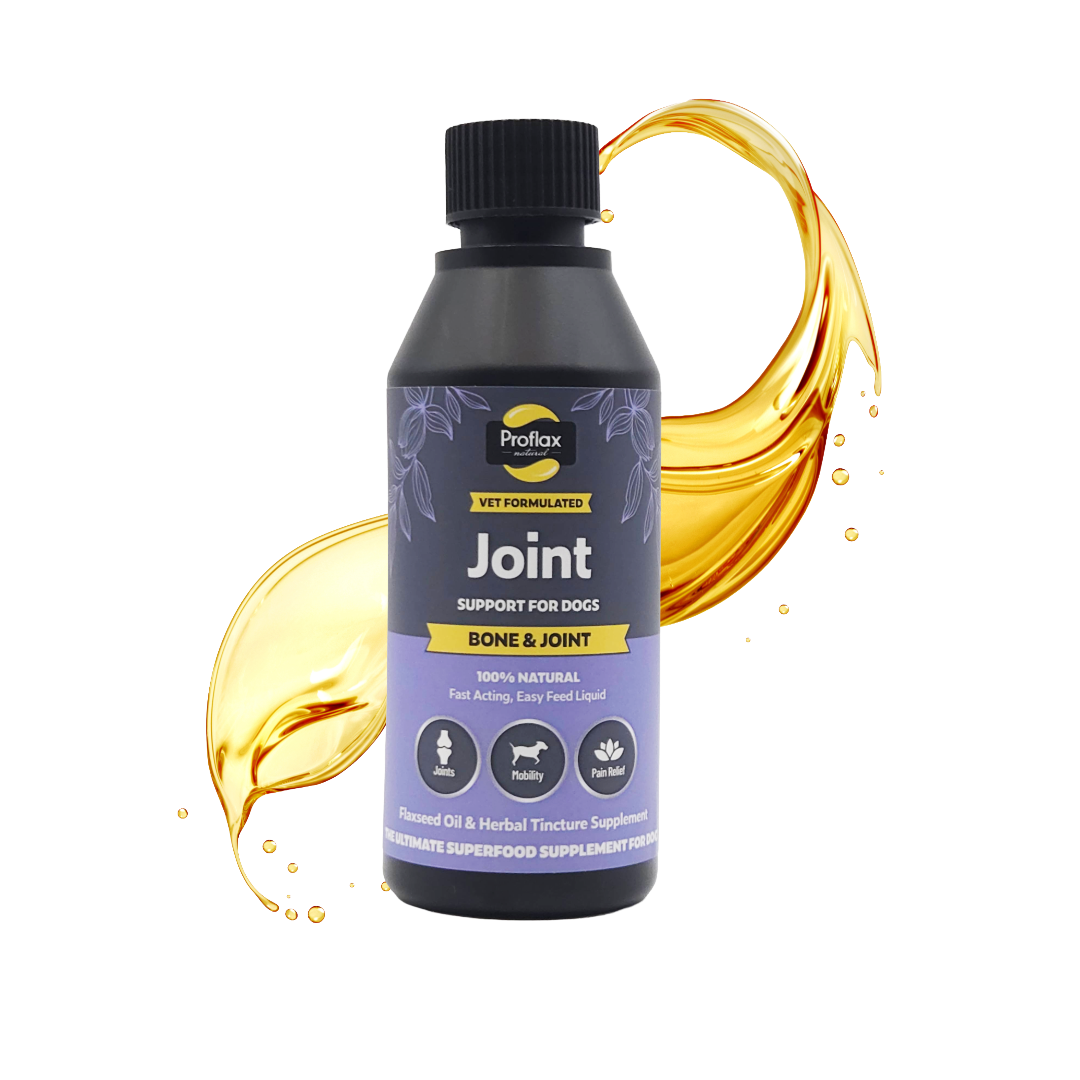 Bone, Joint & Mobility Support for Dogs - Proflax