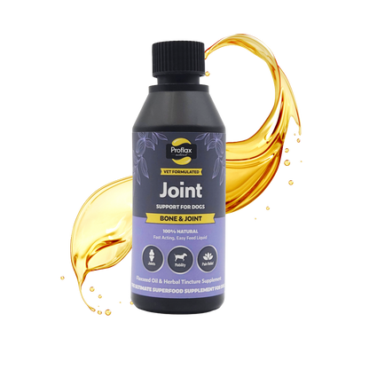 Bone, Joint & Mobility Support for Dogs - Proflax