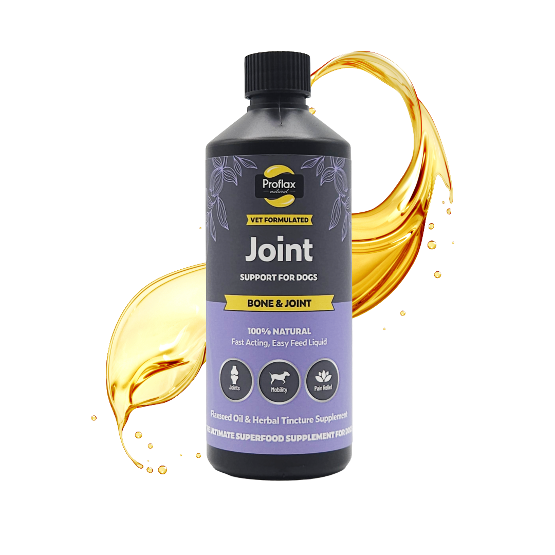 Bone, Joint & Mobility Support for Dogs - Proflax