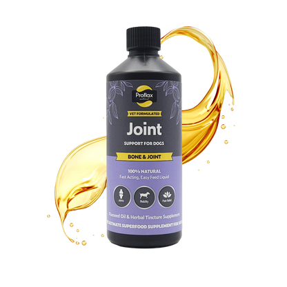 Bone, Joint & Mobility Support for Dogs - Proflax