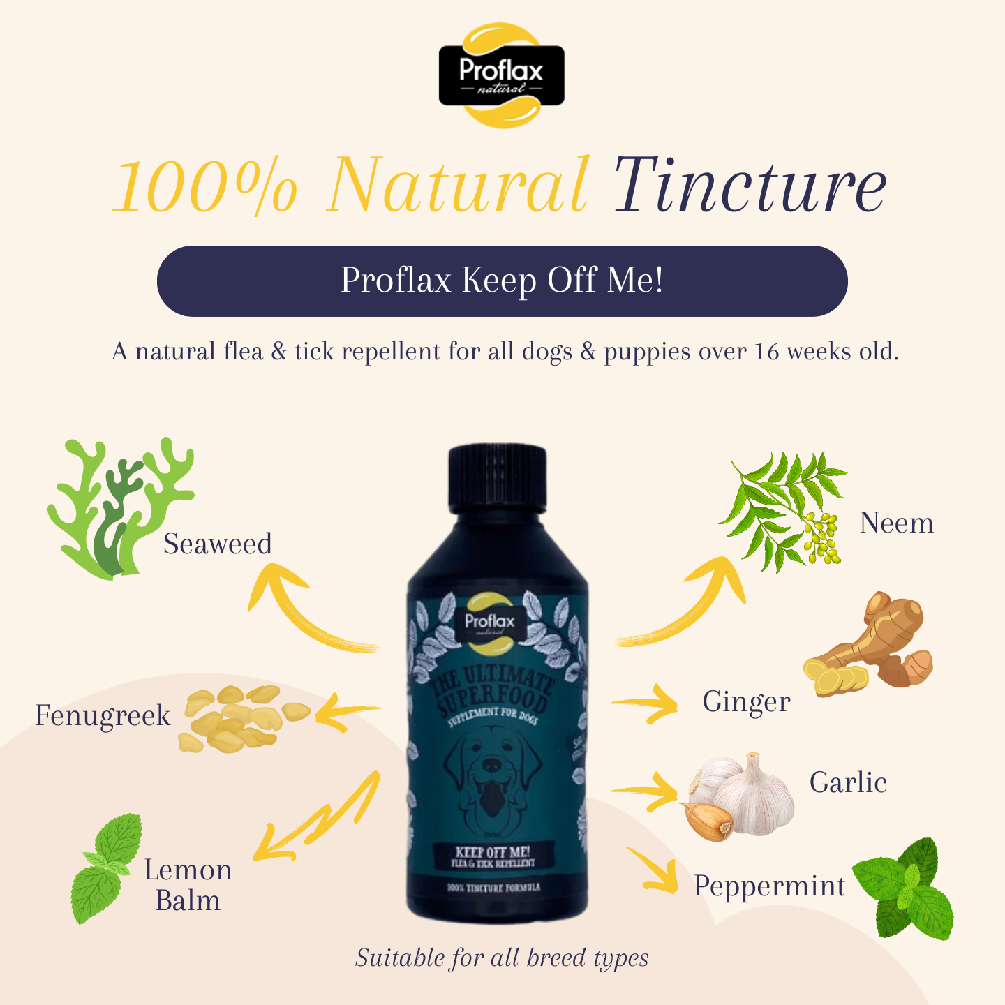 Non toxic tick repellent for dogs 2025