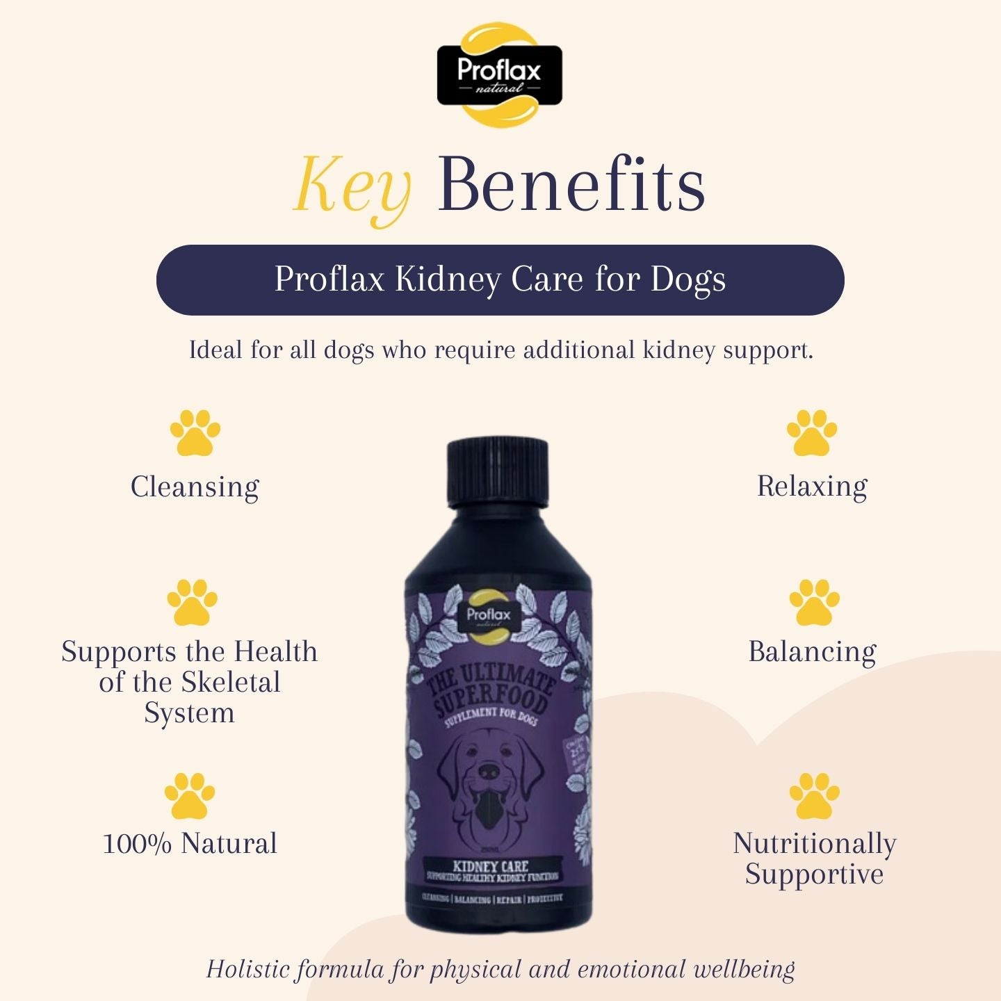 Proflax Kidney Care for Dogs