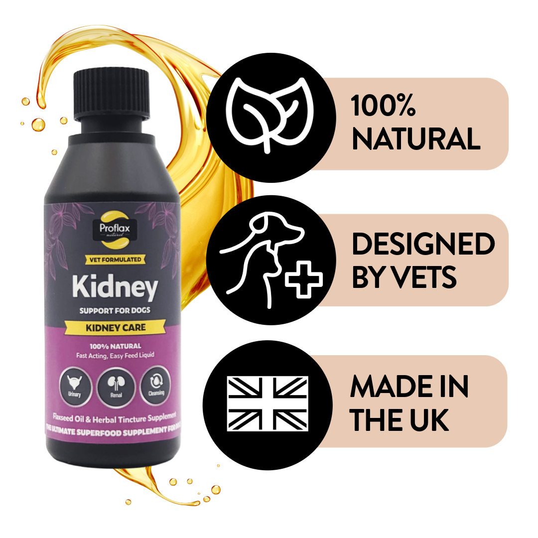 Kidney & Urinary Support for Dogs - Kidney Care - Proflax