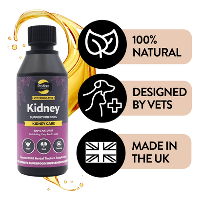 Kidney & Urinary Support for Dogs - Kidney Care - Proflax