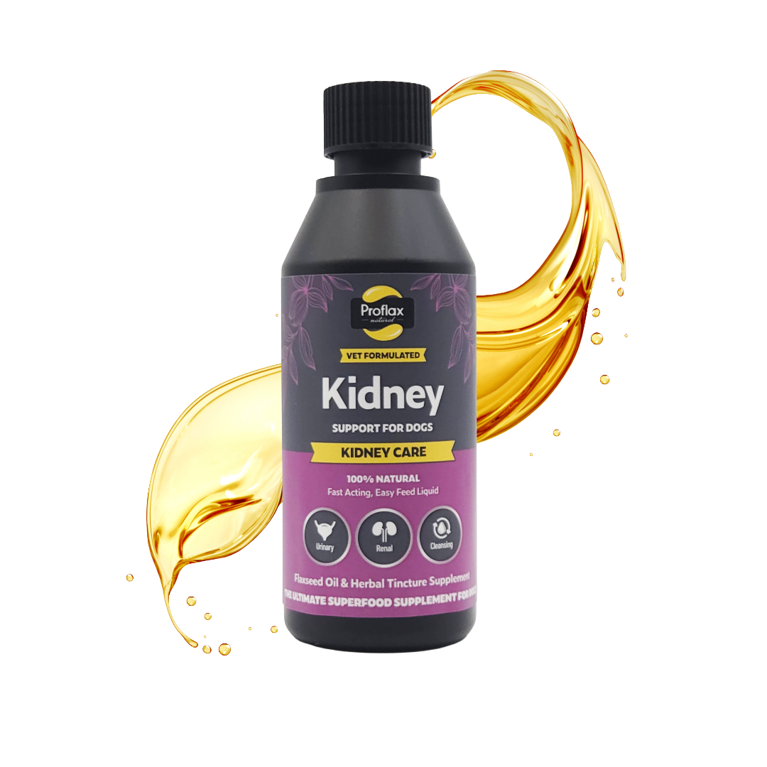 Kidney & Urinary Support for Dogs - Kidney Care - Proflax