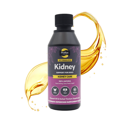 Kidney & Urinary Support for Dogs - Kidney Care - Proflax