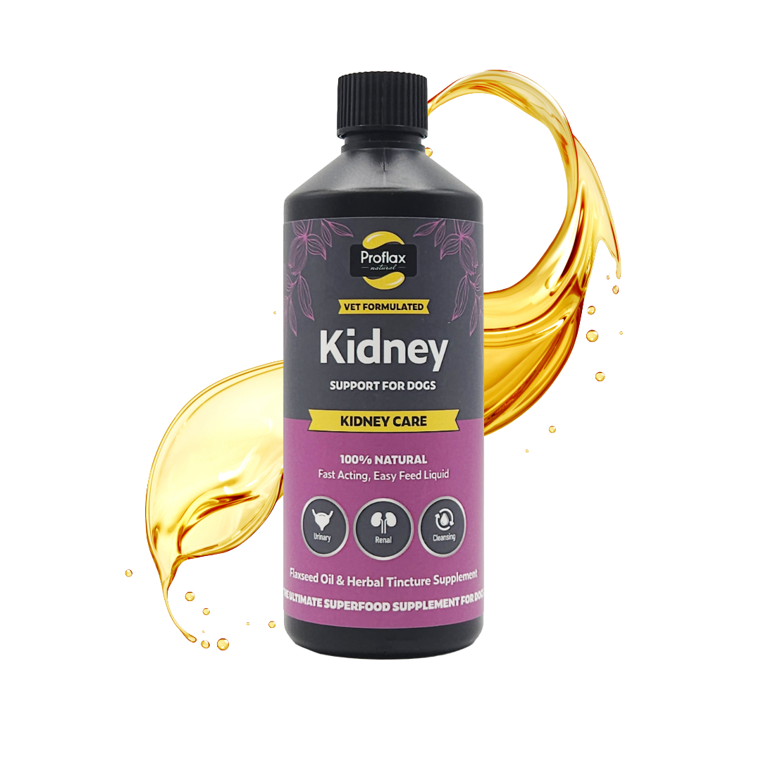 Kidney & Urinary Support for Dogs - Kidney Care - Proflax