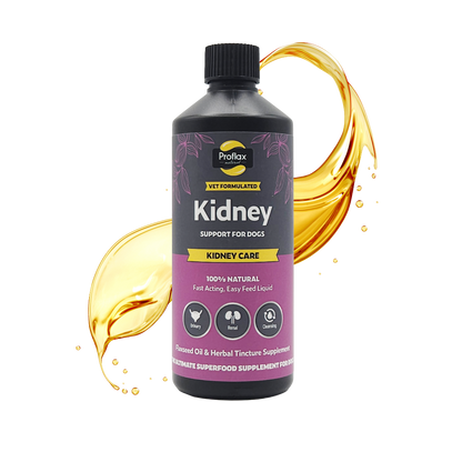 Kidney & Urinary Support for Dogs - Kidney Care - Proflax