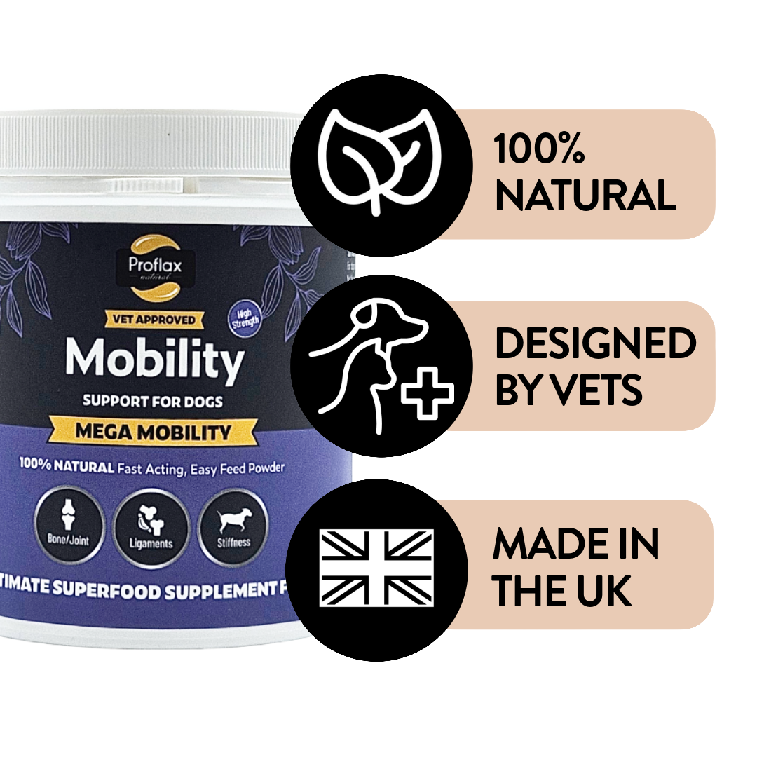 Joint & Mobility Blend for Dogs - Mega Mobility - Proflax
