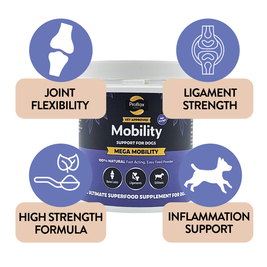Joint & Mobility Blend for Dogs - Mega Mobility