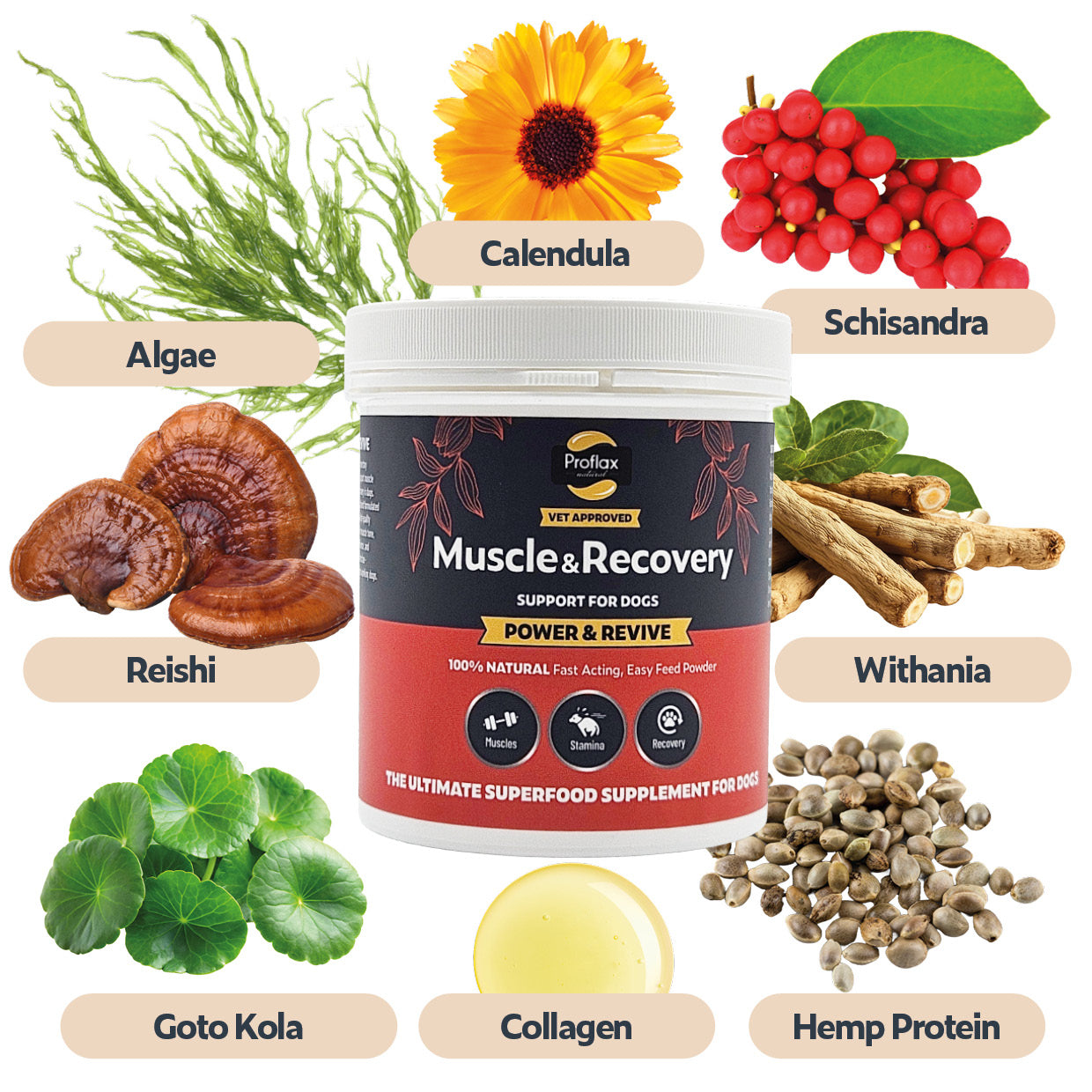 Muscle & Recovery Support for Dogs - Power & Revive - Proflax