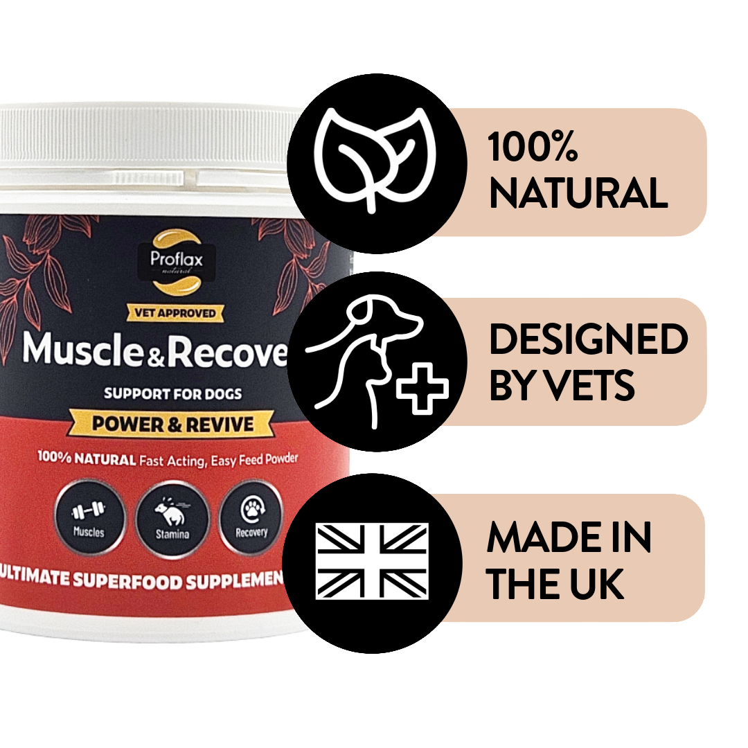 Muscle & Recovery Support for Dogs - Power & Revive - Proflax