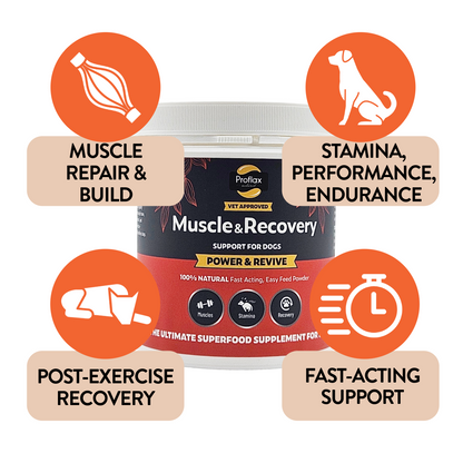 Muscle & Recovery Support for Dogs - Power & Revive - Proflax