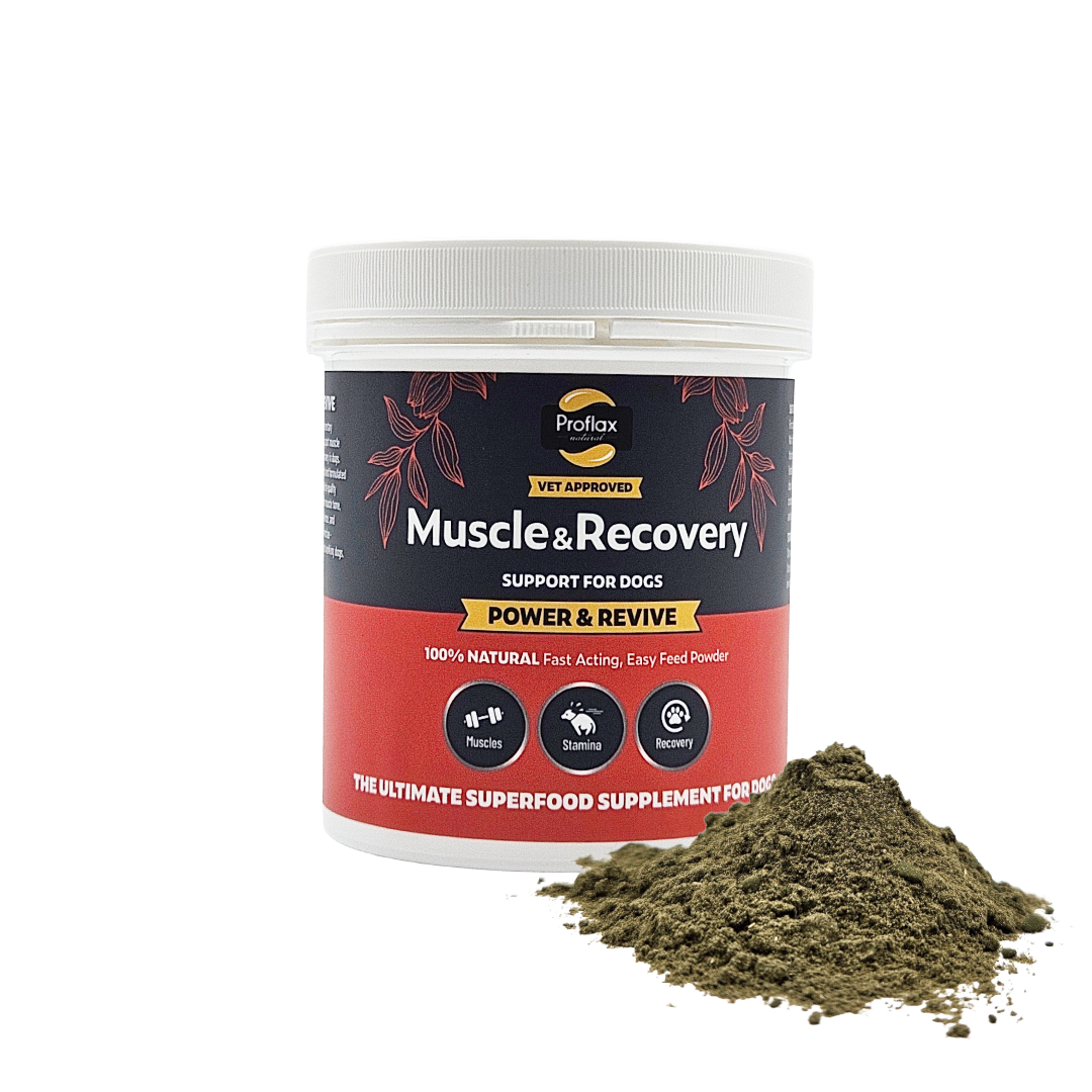 Muscle & Recovery Support for Dogs - Power & Revive - Proflax