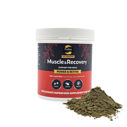 Muscle & Recovery Support for Dogs - Power & Revive - Proflax