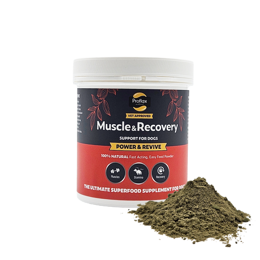 Muscle & Recovery Support for Dogs - Power & Revive