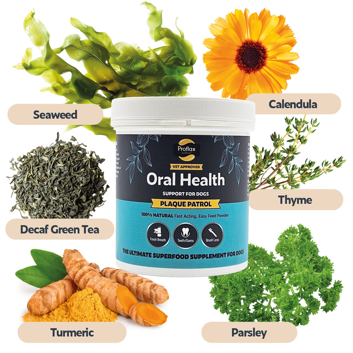 Healthy Teeth & Gums for Dogs - Plaque Patrol - Proflax