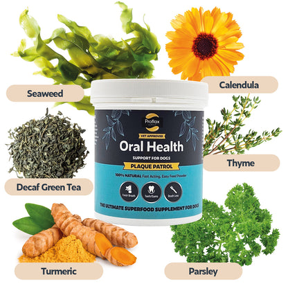 Healthy Teeth & Gums for Dogs - Plaque Patrol - Proflax