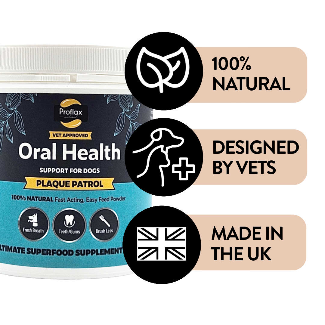 Healthy Teeth & Gums for Dogs - Plaque Patrol - Proflax