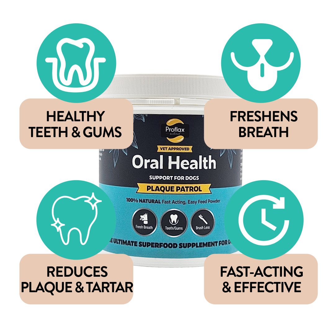 Healthy Teeth & Gums for Dogs - Plaque Patrol - Proflax