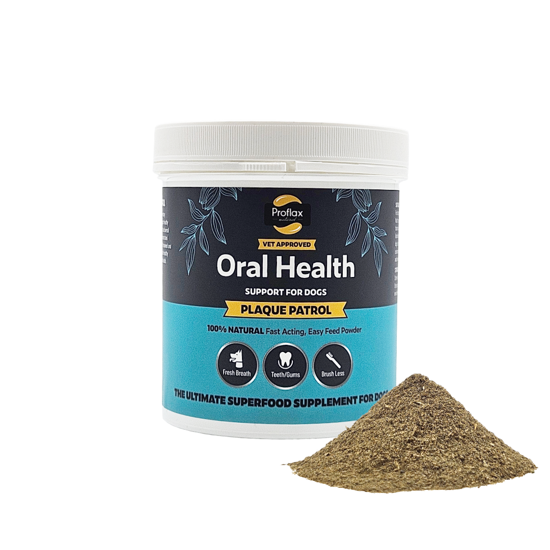 Healthy Teeth & Gums for Dogs - Plaque Patrol - Proflax
