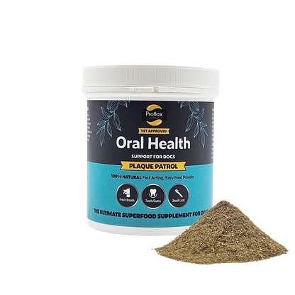 Healthy Teeth & Gums for Dogs - Plaque Patrol - Proflax