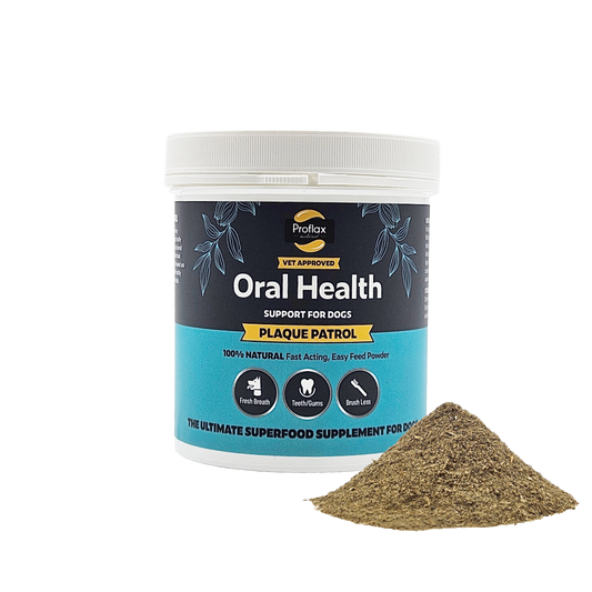 Healthy Teeth & Gums for Dogs - Plaque Patrol