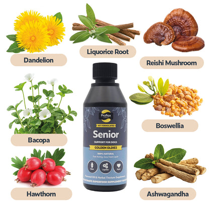 Senior Complete Blend for Dogs - Golden Oldies - Proflax