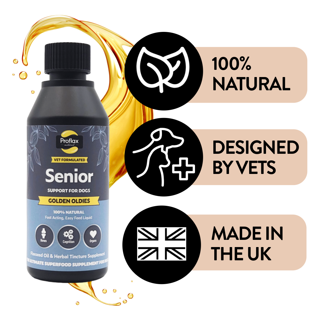 Senior Complete Blend for Dogs - Golden Oldies - Proflax