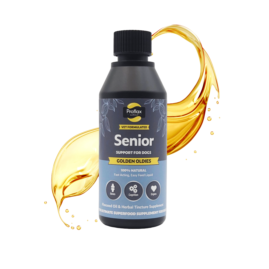 Senior Complete Blend for Dogs - Golden Oldies - Proflax