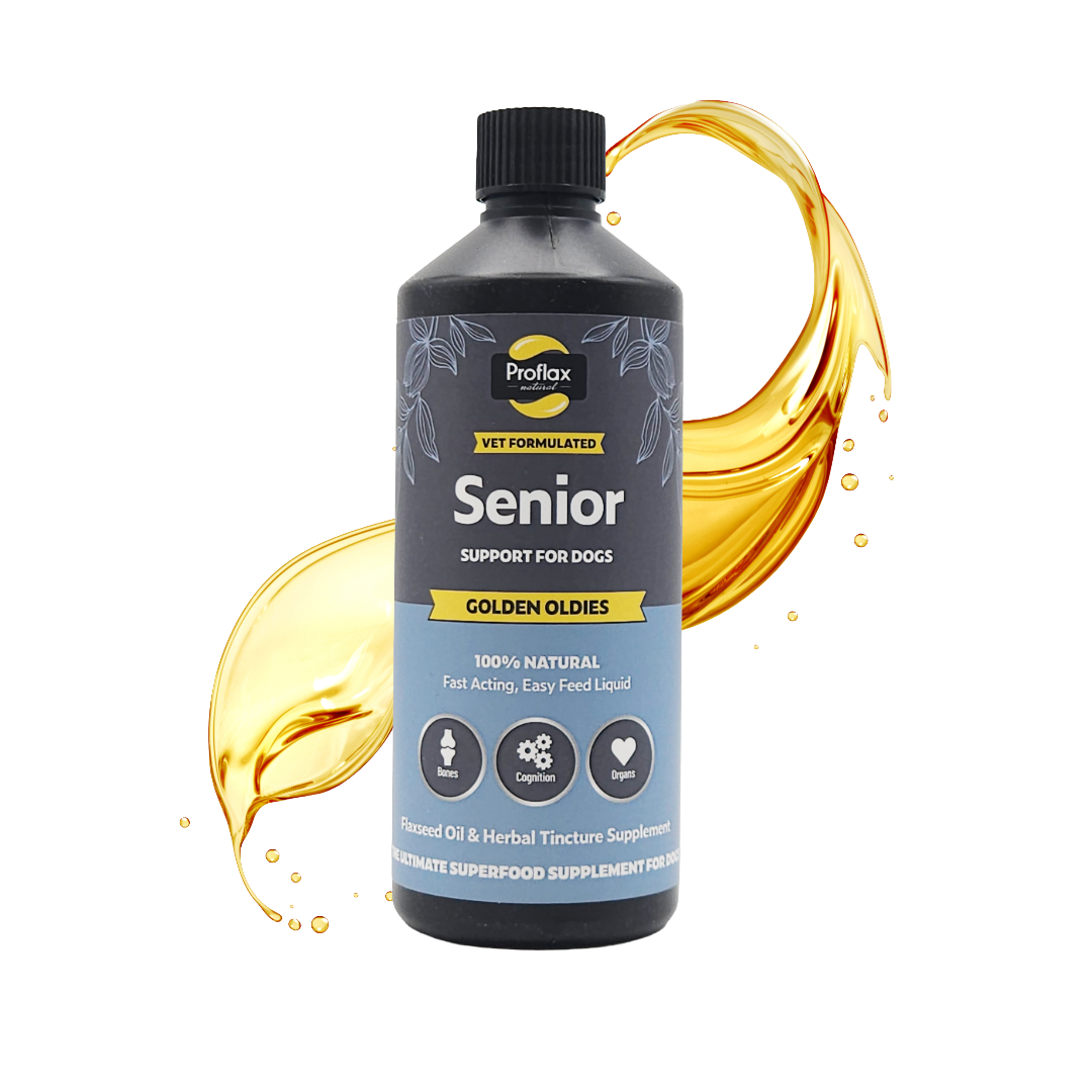 Senior Complete Blend for Dogs - Golden Oldies - Proflax