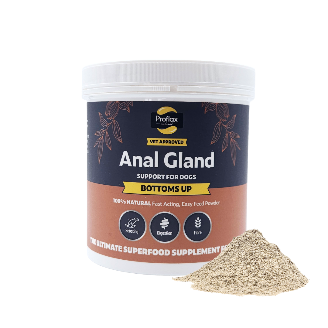 Anal Gland Support for Dogs - Bottoms Up - Proflax