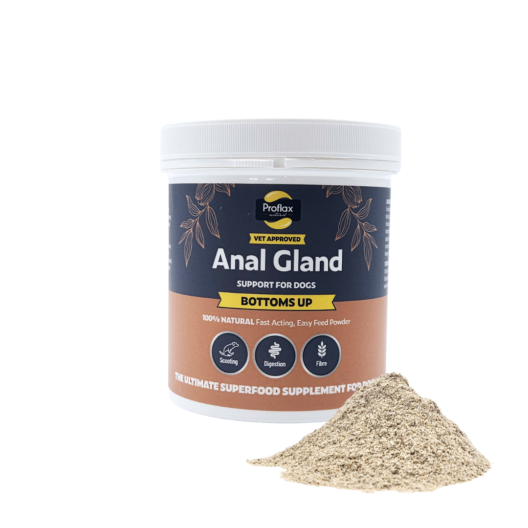 Anal Gland Support for Dogs - Bottoms Up - Proflax