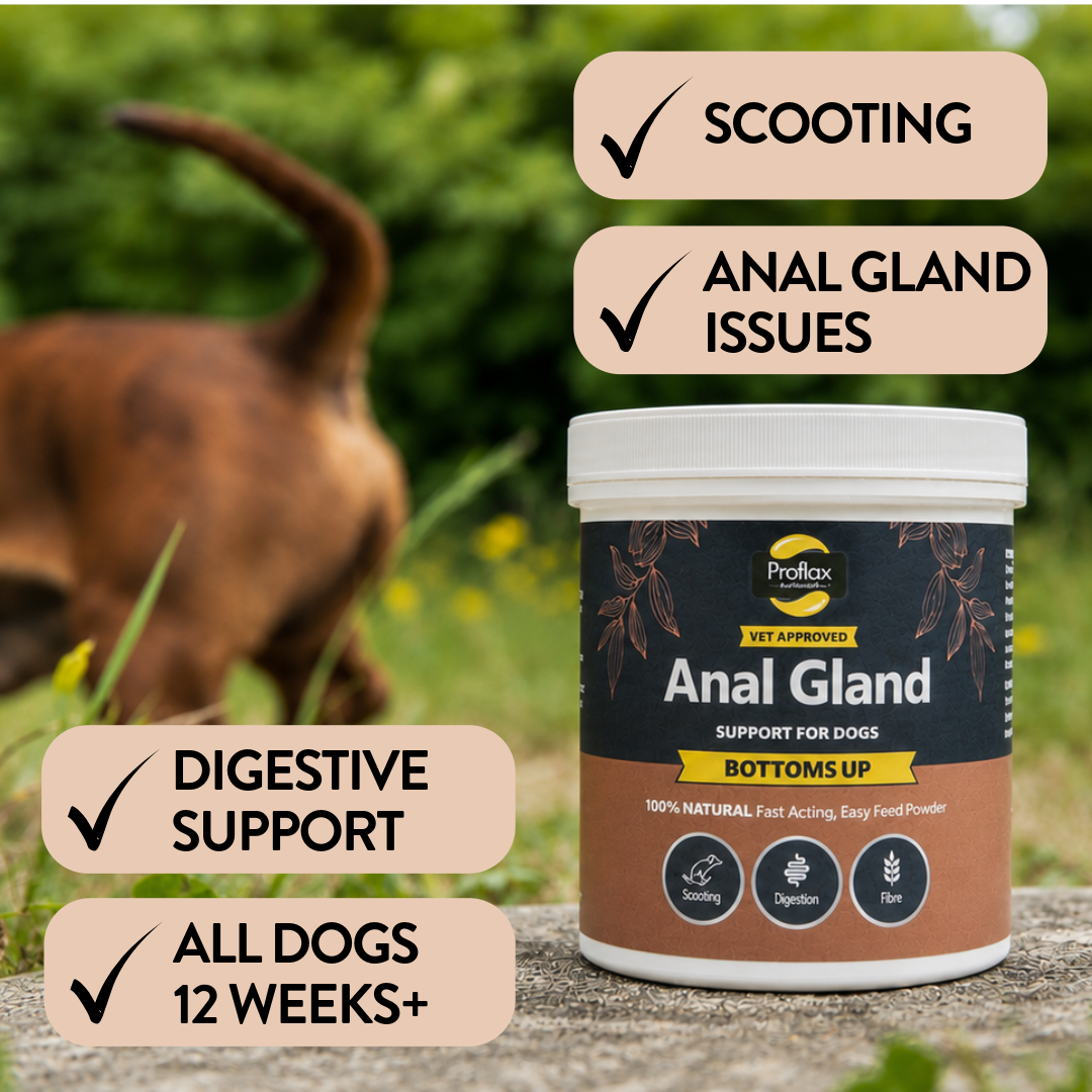 Anal Gland Support for Dogs - Bottoms Up - Proflax