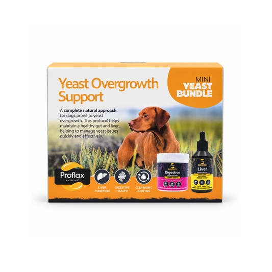 Targeted Wellness Bundle - Mini Yeast