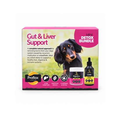 Targeted Wellness Bundle - Mini Detox