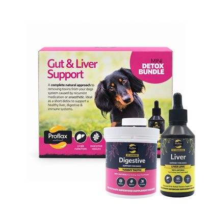 Targeted Wellness Bundle - Mini Detox