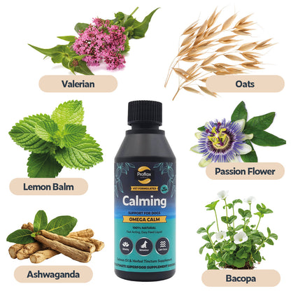 Calming Salmon Oil for Highly Anxious Dogs - Omega Calm