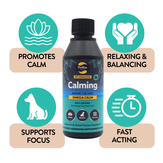 Calming Salmon Oil for Highly Anxious Dogs - Omega Calm