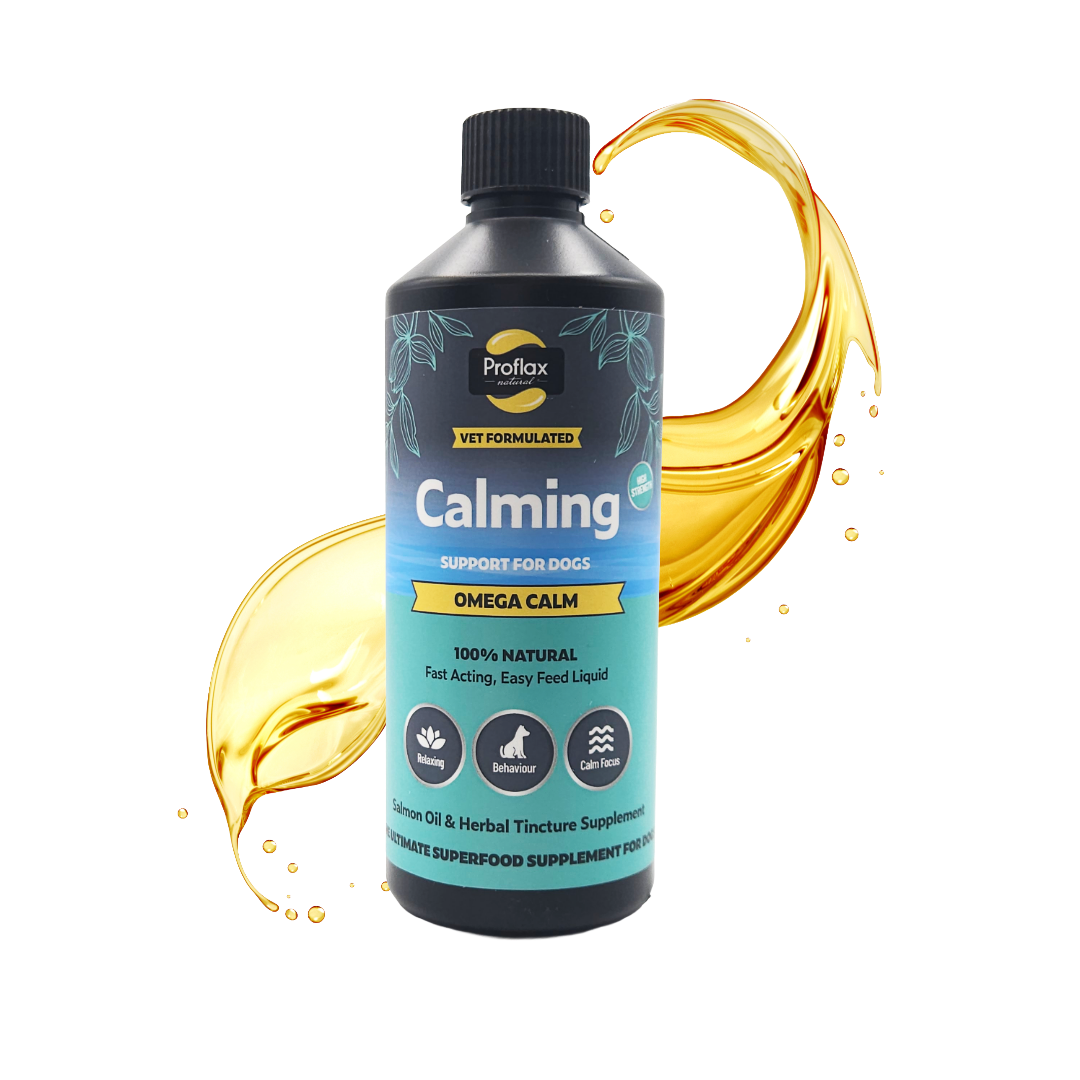 Calming Salmon Oil for Highly Anxious Dogs - Omega Calm