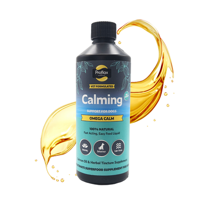 Calming Salmon Oil for Highly Anxious Dogs - Omega Calm