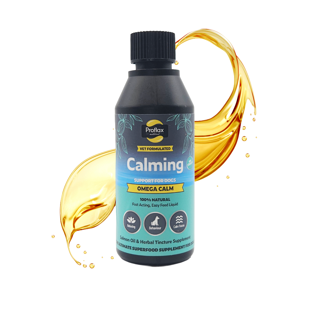 Calming Salmon Oil for Highly Anxious Dogs - Omega Calm