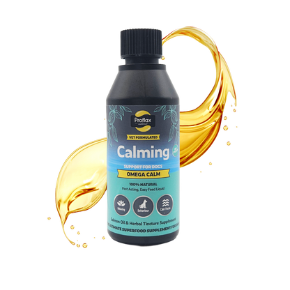 Calming Salmon Oil for Highly Anxious Dogs - Omega Calm